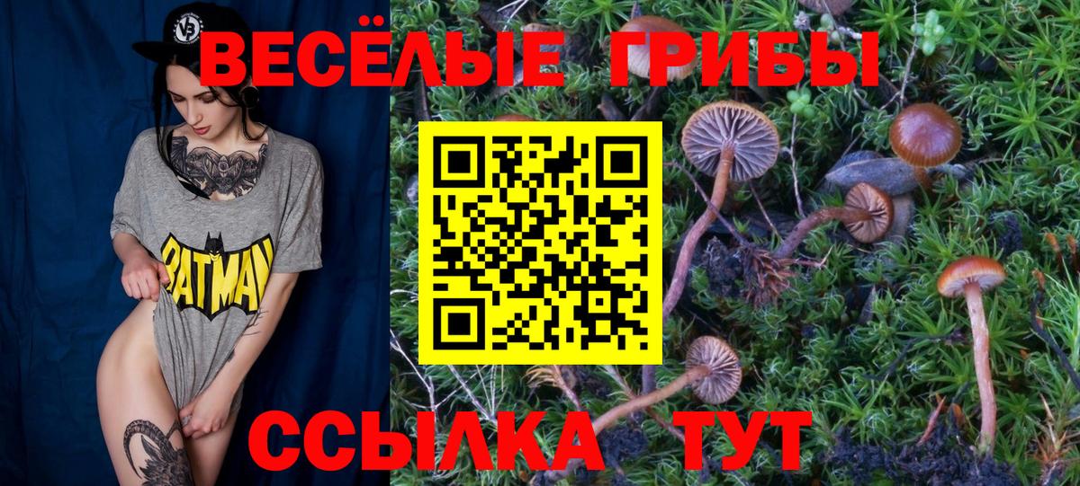 Кунгур  дарнет шоп  Вход с VPN  Псилоцибиновые грибы мицелий 